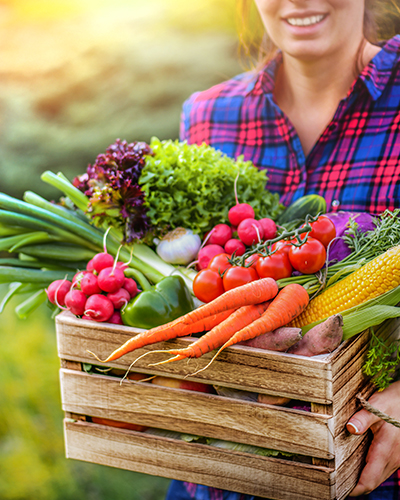 localhomepage1 person carrying a crate of vegetables from a farm